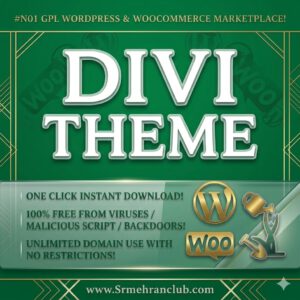 Divi | The World's Leading All-In-One WordPress Design Solution3" PLR & MRR